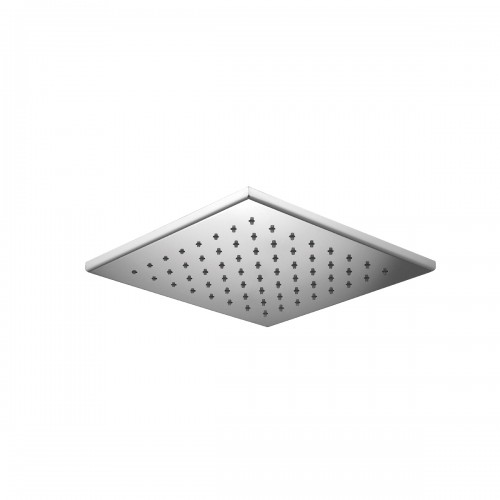 Shower head ispection in stainless steel  250x250