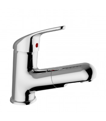 Basin mixer with pull out spout with 1” 1/4” pop-up waste